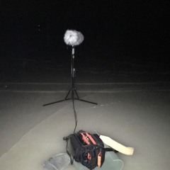 Ice  ≈ Warning quiet recording ≈