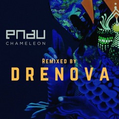 PNAU - Chameleon (Drenova Remix)
