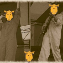 Picknick Op Een Helling