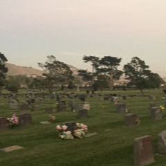 sunlight breaking through