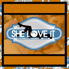 The Element - She Love It Ft. Chris Bakir & Joey Lucid