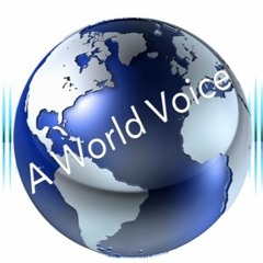 Dennis Kleinman Commercial Demo