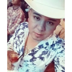 POR ENAMORARME -Los Plebes Del Rancho De Ariel Camacho
