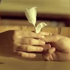 KRALJICA MATURE (OFFICIAL VIDEO)