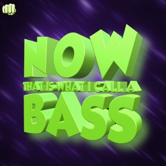 Now That Is What I Call A Bass