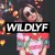 Artwork for Alison Wonderland x M-Phazes - Messiah (WILDLYF Remix)