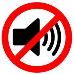 Noise Ordinance ( mstrex Original )