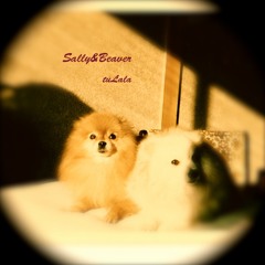 TuLaLa_Sally&Beaver