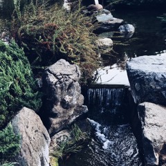 Self Control- Frank Ocean(Cover)