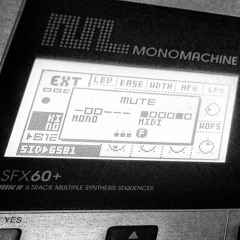 First Beat In The Year