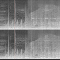 0774 01senscontraires