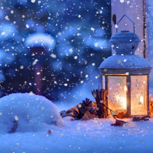 Playful Falling Snow