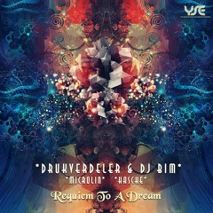 Drukverdeler & DJ Bim - Requiem To A Dream (Overture Version)