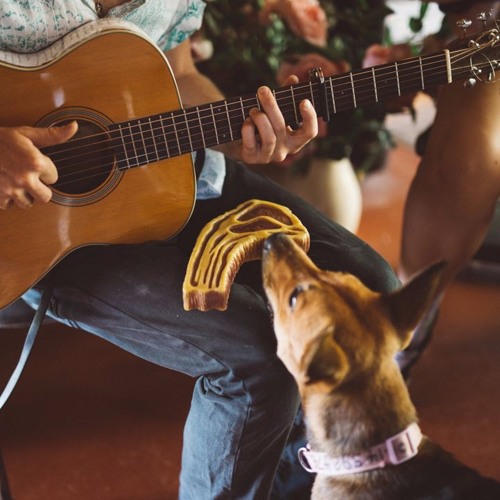 Make Me Down A Pallet On Your Floor Traditional Gillian Welch By