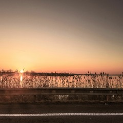 Denis Yashin - Road Movie