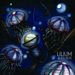 Lilium :: Oak Tree