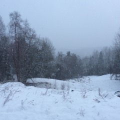 Capriccio Detto Biscizzoso, Bellerofonte Castaldi (1581-1649)