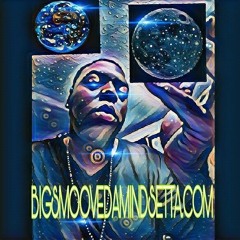 NO PROBLEM FREE$TYLE