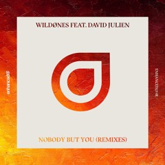 WildOnes & David Julien - Nobody But You (Lucas Andero & Adil Pinar Remix)
