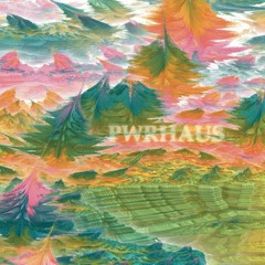 PWRHAUS - Heartbeat