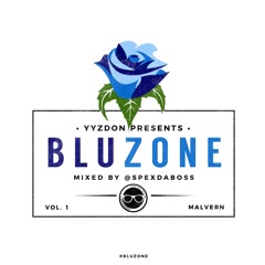 YYZDON PRESENTS THE BLUZONE VOL. 1 MIXED BY WORLD CHAMP @SPEXDABOSS