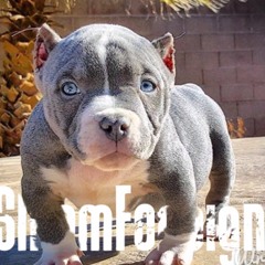 SlimmForeign x prod x KahWhy