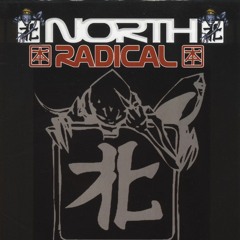 Drokz--North Radical Technology--NRADPK 01