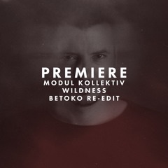 Premiere: Modul Kollektiv - Wildness (Betoko Re-Edit)