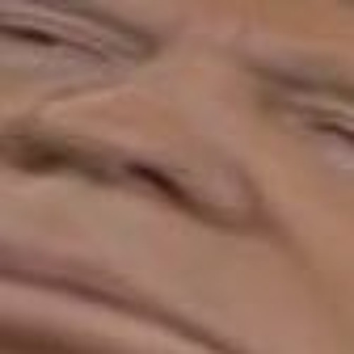 shitposts