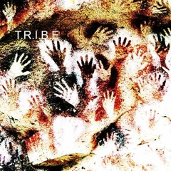 The T.R.I.B.E