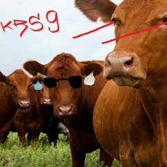 Kerros 9 (ft. Kelepo) - Piä Pihvis