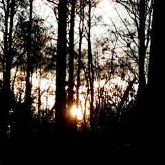 Carrie Underwood "Two Black Cadillacs" (Cover)