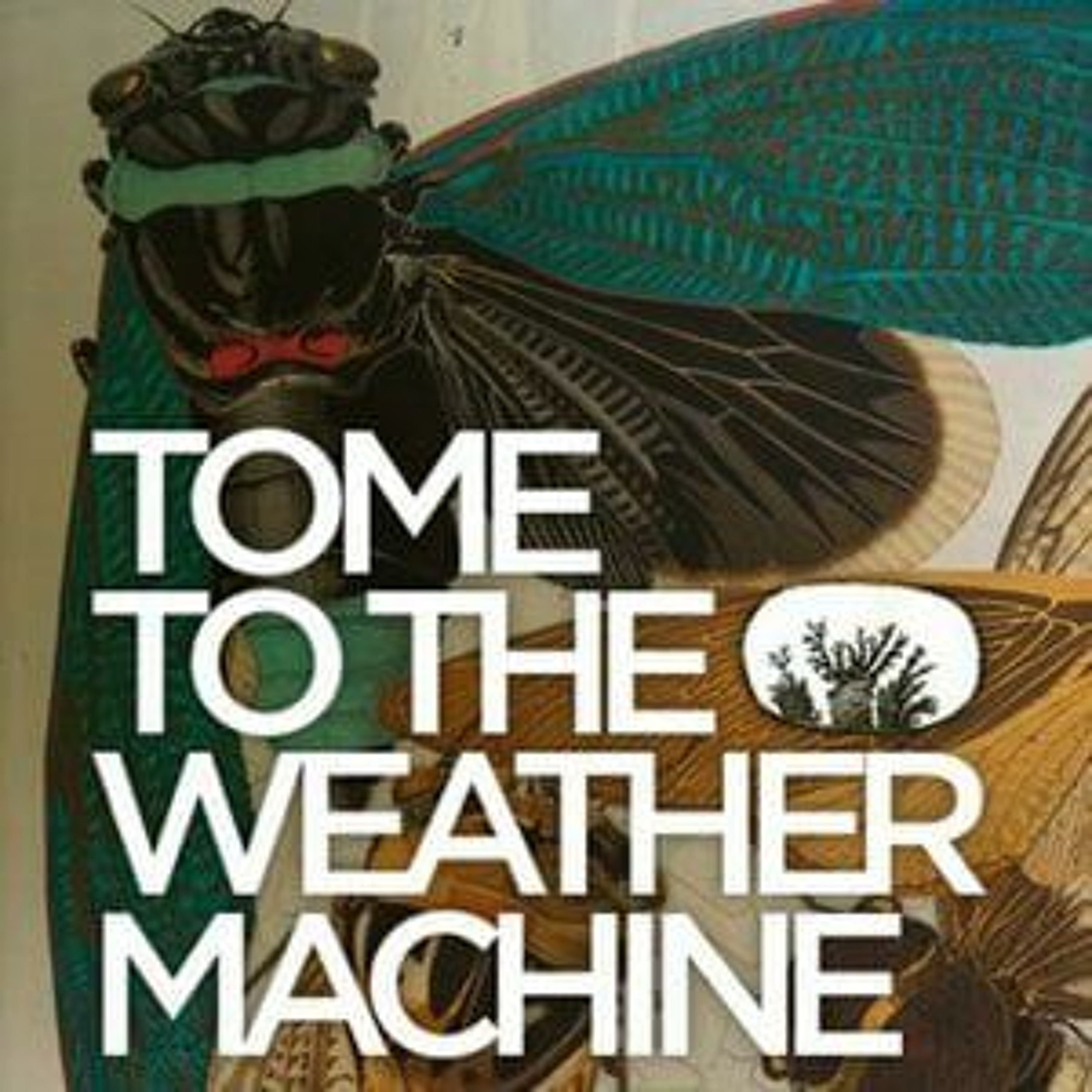 tometotheweathermachine