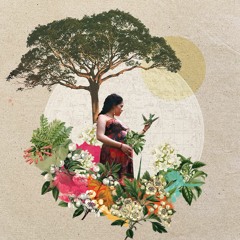 Mamita Lenca