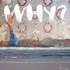 WHY? - Proactive Evolution artwork