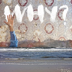 WHY? - Proactive Evolution
