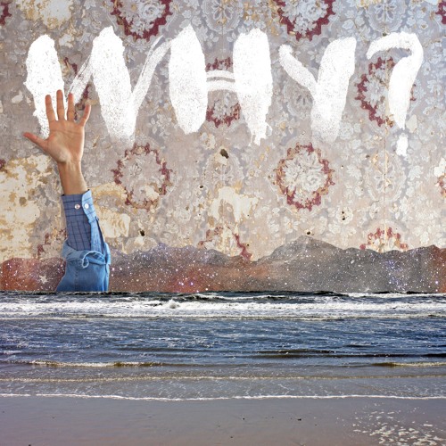 WHY? - Proactive Evolution