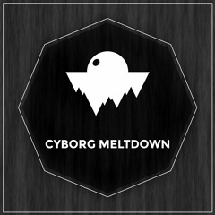 Cyborg Meltdown