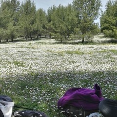 Trouble In The Message Centre - Blur cover