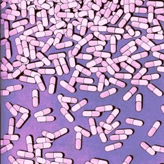 STBB513 - CITALOPRAM INJEKTION