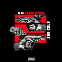 SBE Cel$ No Flocking Freestyle