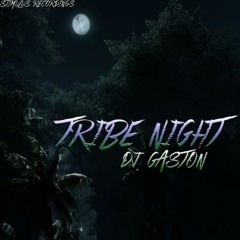 DJ Gaston - Tribe Night (Original Mix)