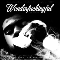 WONDERFUCKINGFUL (Dante M'$ Feat. Tae)