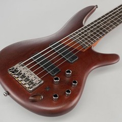 Auld Lang Syne (Bass Cover)