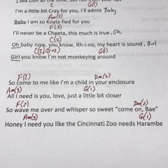 Come on Bae (The Cincinnati Zoo)