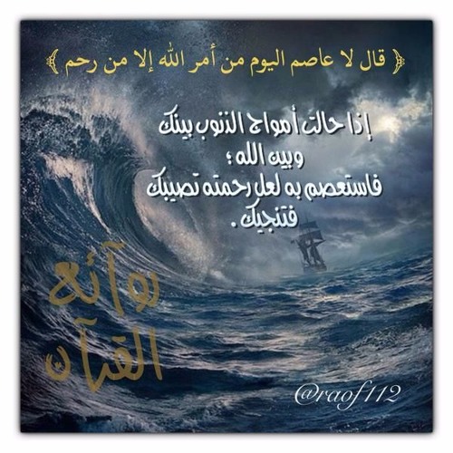 تلاوة من سورة هود (قصة نوح مع ابنه) للشيخ بندر بليله فجر الأربعاء 6-4-1438هـ