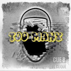 Cue-B - Too Many (CueMix)[2014]