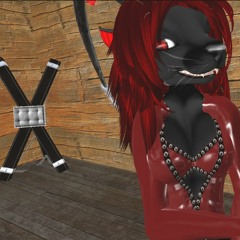 Having Sexy Time