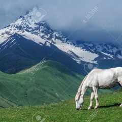 Higher than the Mountains