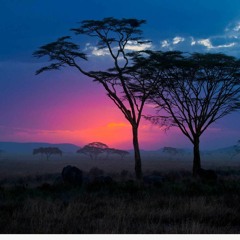 Serengeti